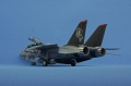 Hasegawa 1/72 F-14D Grim Reapers