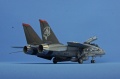 Hasegawa 1/72 F-14D Grim Reapers