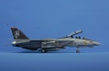 Hasegawa 1/72 F-14D Grim Reapers