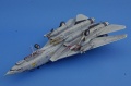 Hasegawa 1/72 F-14D Grim Reapers