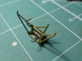 Italeri 1/72 UH-34 -  