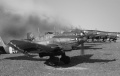 Hasegawa 1/32 Ju-87 Dora  Gustav