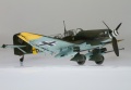 Hasegawa 1/32 Ju-87 Dora  Gustav