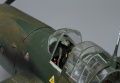 Hasegawa 1/32 Ju-87 Dora  Gustav