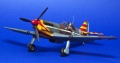 Tamiya 1/48 Dewoitine D.520 -  