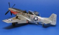 ICM 1/48 F-51D-30 Mustang -      