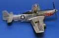 ICM 1/48 F-51D-30 Mustang -      