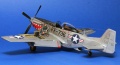 ICM 1/48 F-51D-30 Mustang -      