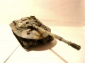 Takom 1/35  279 -   