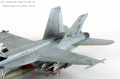 Hasegawa 1/48 F/A-18E Super Hornet, VFA-31 Tomcatters