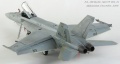 Hasegawa 1/48 F/A-18E Super Hornet, VFA-31 Tomcatters