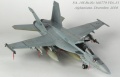 Hasegawa 1/48 F/A-18E Super Hornet, VFA-31 Tomcatters