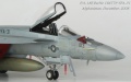 Hasegawa 1/48 F/A-18E Super Hornet, VFA-31 Tomcatters