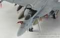 Hasegawa 1/48 F/A-18E Super Hornet, VFA-31 Tomcatters