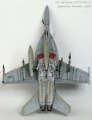 Hasegawa 1/48 F/A-18E Super Hornet, VFA-31 Tomcatters