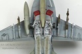 Hasegawa 1/48 F/A-18E Super Hornet, VFA-31 Tomcatters