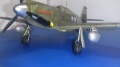 ICM 1/48 P-51A Mustang