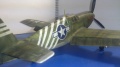 ICM 1/48 P-51A Mustang