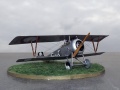 Eduard 1/72 Nieuport 23