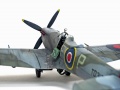 ICM 1/48 Spitfire Mk. XVI -  !