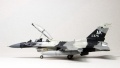 Hasegawa 1/72 F-16D Fighting Falcon