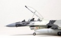 Hasegawa 1/72 F-16D Fighting Falcon