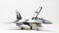 Hasegawa 1/72 F-16D Fighting Falcon