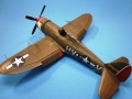 Tamiya 1/48 Republic P-47D Thunderbolt Razorback