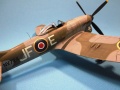 Eduard 1/48 Tempest Mk.5