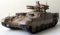 Meng 1/35   -  