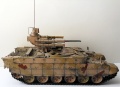 Meng 1/35   -  