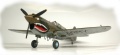 Hasegawa 1/48 P-40E Kittyhawk