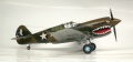 Hasegawa 1/48 P-40E Kittyhawk