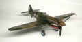 Hasegawa 1/48 P-40E Kittyhawk