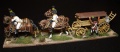 Perry Miniatures 28 mm   