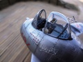 Hasegawa -15 EggPlane -  