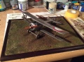 Eduard 1/48 Nieuport-23 N4187   3-  22- 