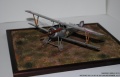 Eduard 1/48 Nieuport-23 N4187   3-  22- 