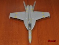  Hasegawa  Revell 1/72 F/A-18F Super Hornet   