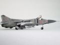 Trumpeter 1/48 -23