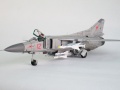 Trumpeter 1/48 -23