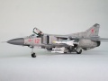 Trumpeter 1/48 -23