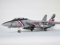 Hasegawa 1/48 F-14D Tomcat BOUNTY HUNTERS