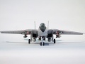 Hasegawa 1/48 F-14D Tomcat BOUNTY HUNTERS