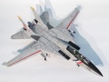 Hasegawa 1/48 F-14D Tomcat BOUNTY HUNTERS