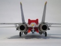 Hasegawa 1/48 F-14D Tomcat BOUNTY HUNTERS