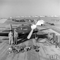 AMG 1/48 P-51B/C,D -  