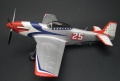 AMG 1/48 P-51B/C,D -  