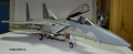 Tamiya 1/32 F-15C Eagle