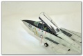 Academy 1/72 Grumman F-14A Tomcat